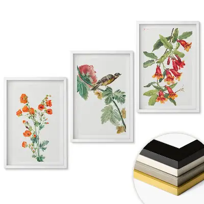 Set de 3 tablouri pentru living cu flori și păsări în natură