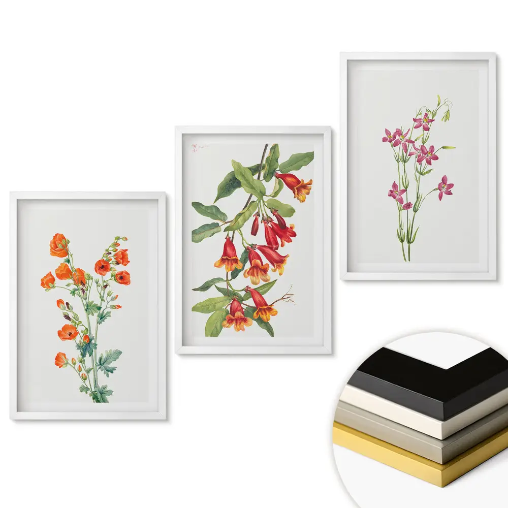 Set tablouri living Flori colorate în ilustrații delicate