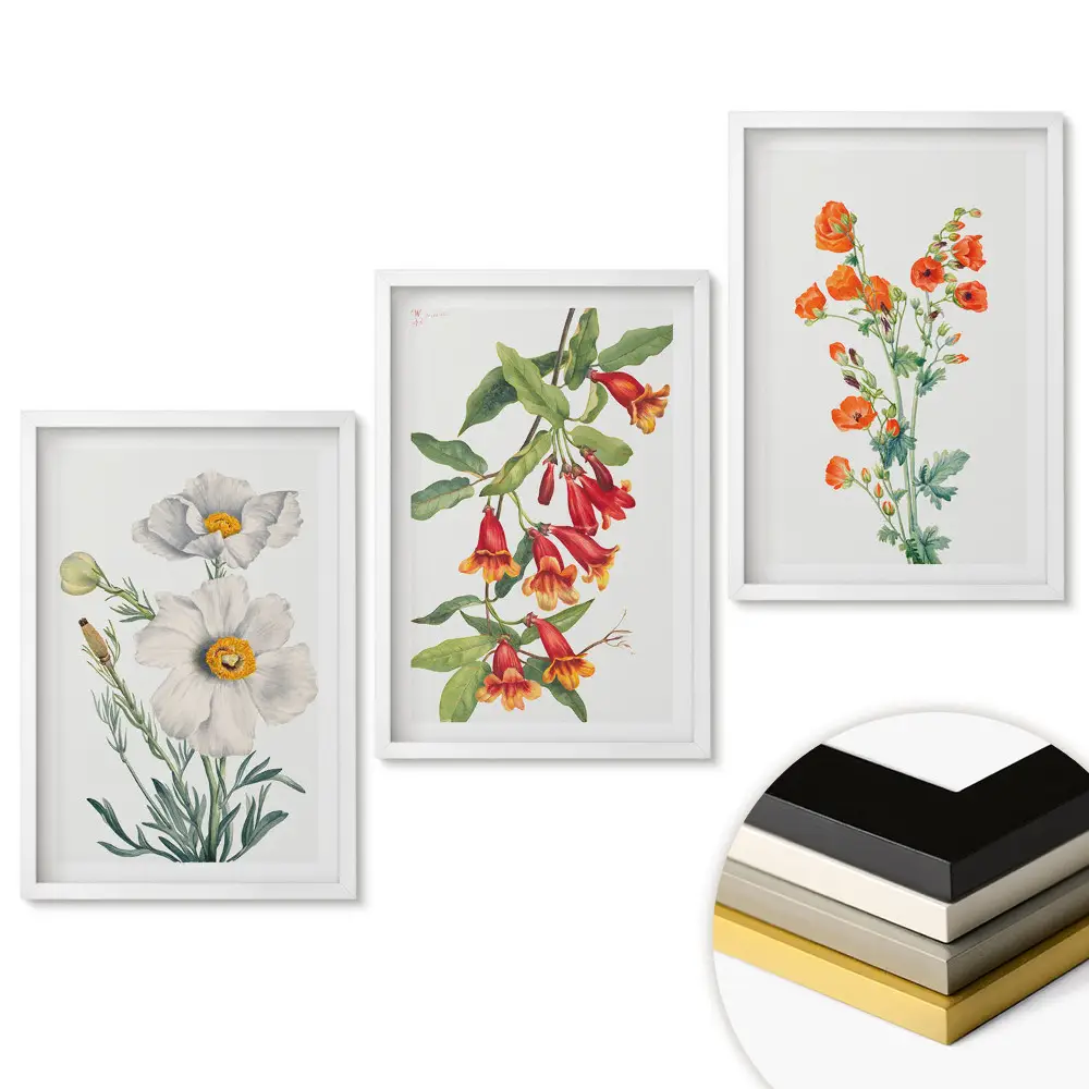 Set 3 tablouri pentru living cu ilustrații florale delicate