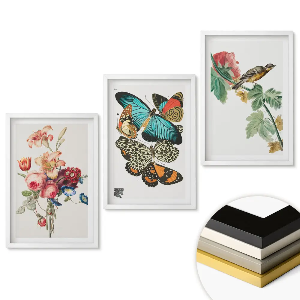 Set de tablouri pentru living cu motive de flori, fluturi și păsări