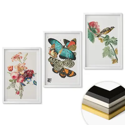 Set tablouri living Flori, fluturi și păsări în artă