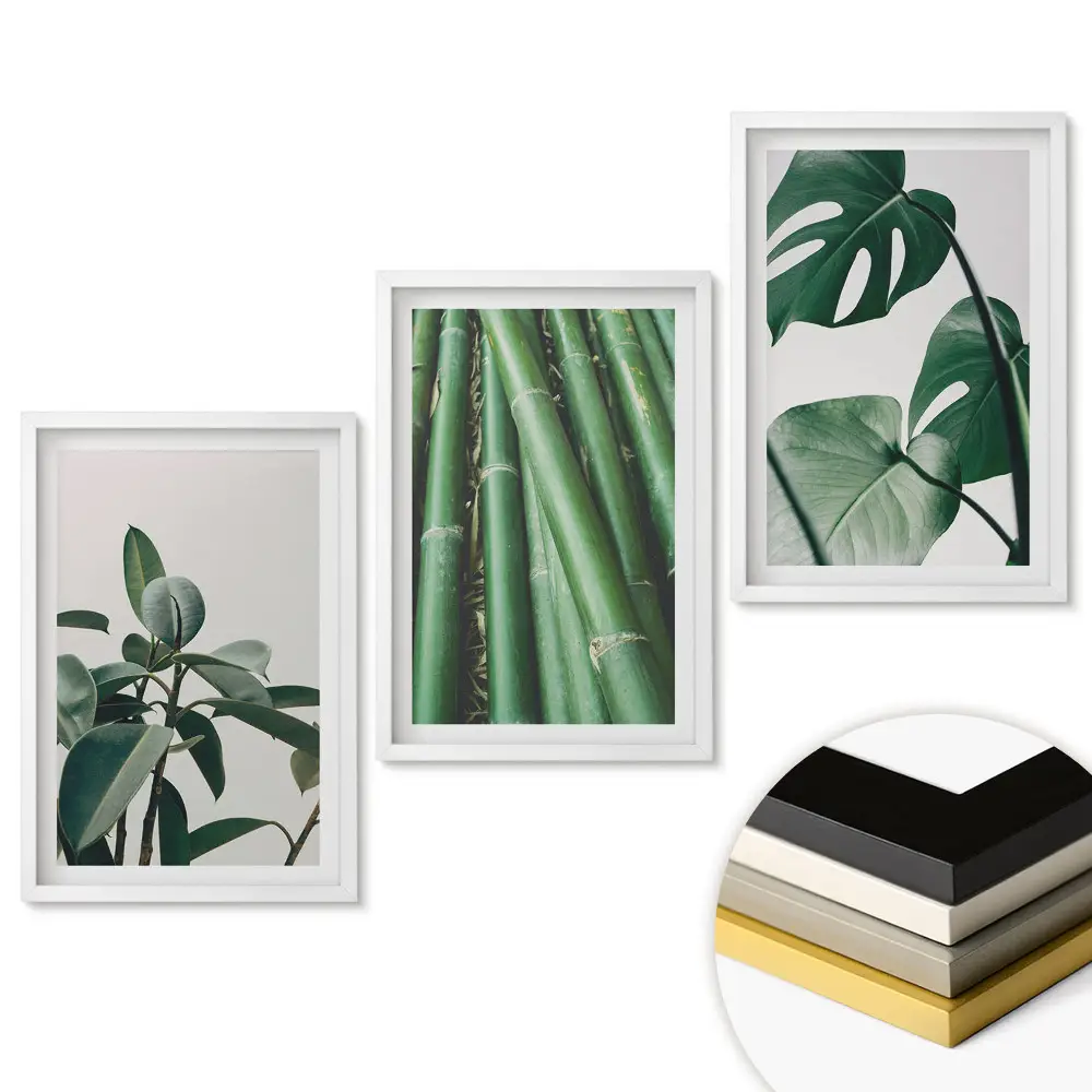 Set 3 tablouri living Frunze verzi în fotografii elegante
