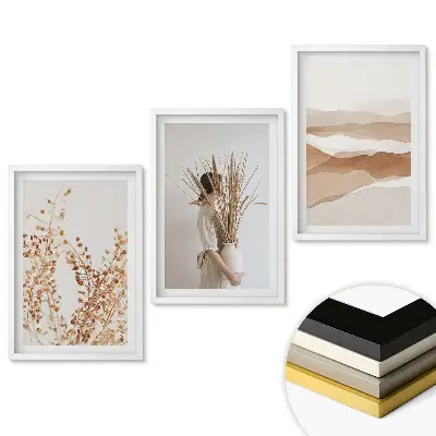 Set 3 tablouri living Frumusețe naturală într-un stil minimalist