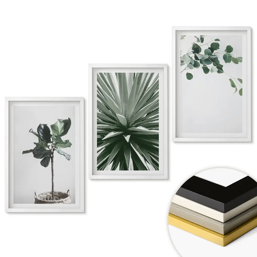 Set de 3 tablouri pentru living cu motive inspirate din plante în stil minimalist