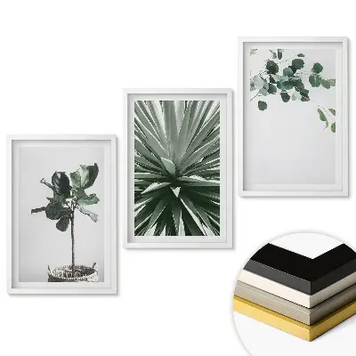 Set 3 tablouri living Inspirații din plante într-un stil minimalist