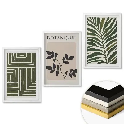 Set 3 tablouri living Inspirații din plante într-un stil modern
