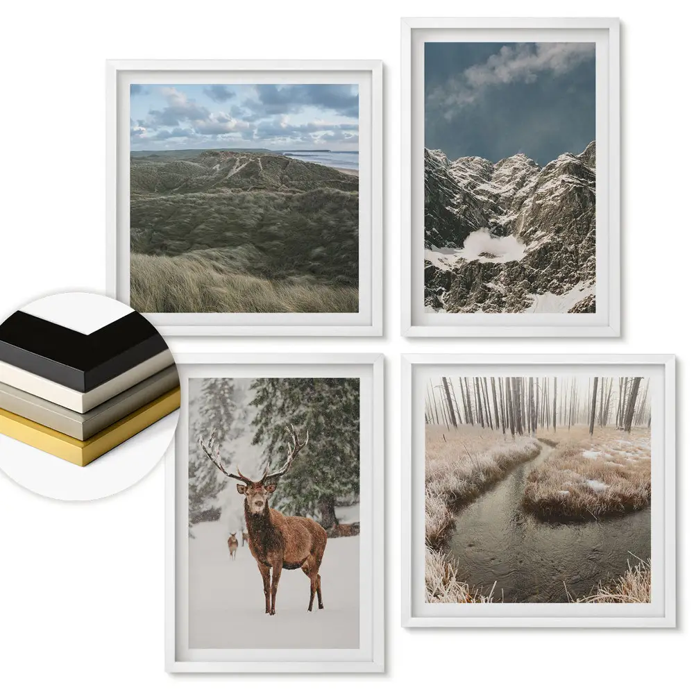 Set 4 tablouri înrămate Natura în diferite anotimpuri