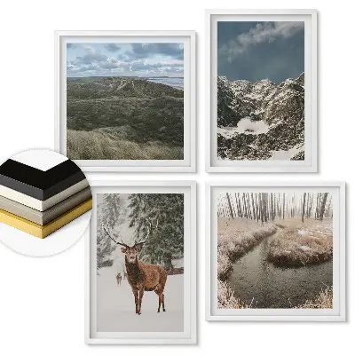Set 4 tablouri înrămate Natura în diferite anotimpuri
