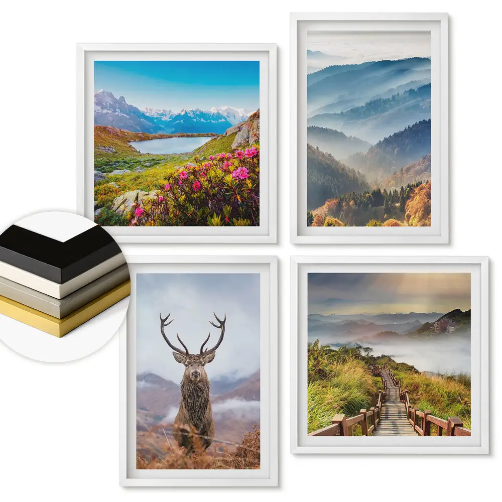 Set 4 tablouri înrămate Natura în patru versiuni