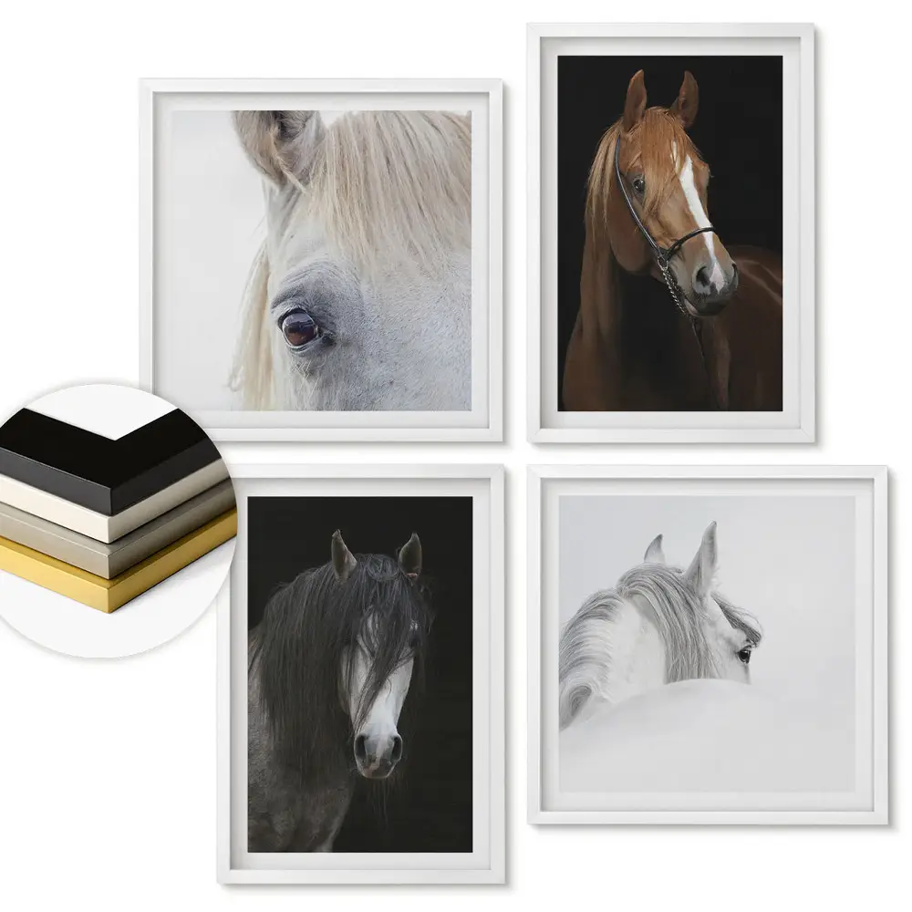 Set 4 tablouri înrămate cu portrete monocrome de cai
