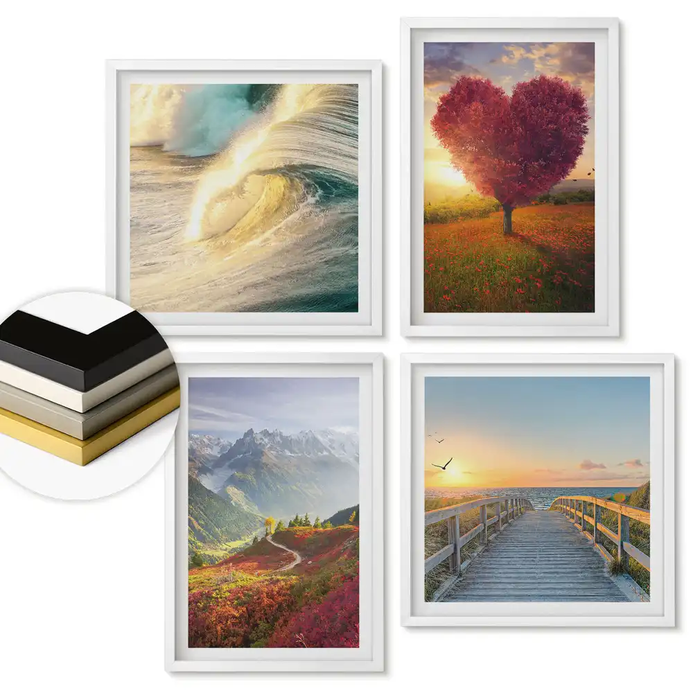 Set 4 tablouri înrămate Natura în culori și emoții