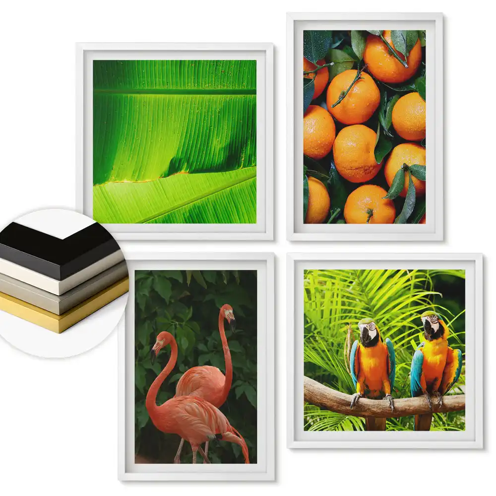 Set de 4 tablouri înrămate Frumusețea tropicală a naturii și culorilor