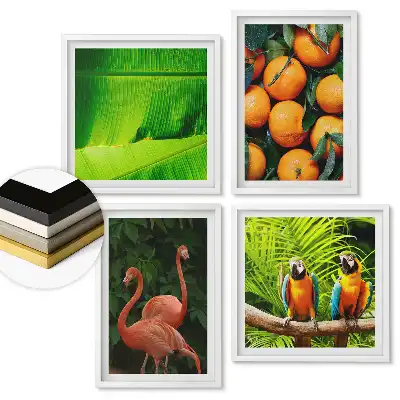 Set 4 tablouri înrămate Frumusețea tropicală a naturii și culorilor