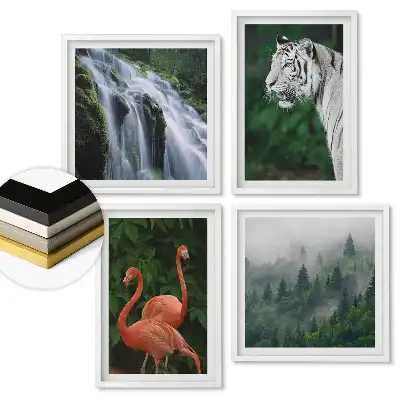 Set tablouri înrămate Natura în diverse nuanțe de frumusețe
