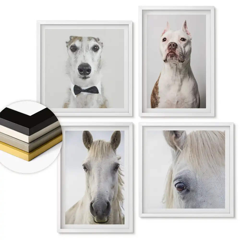 Set de 4 tablouri înrămate cu portrete de animale în diverse stiluri