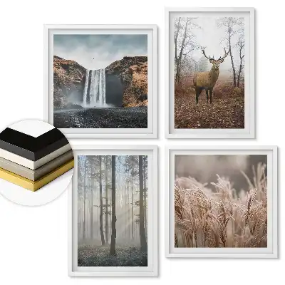 Set de 4 tablouri înrămate cu tematică naturală