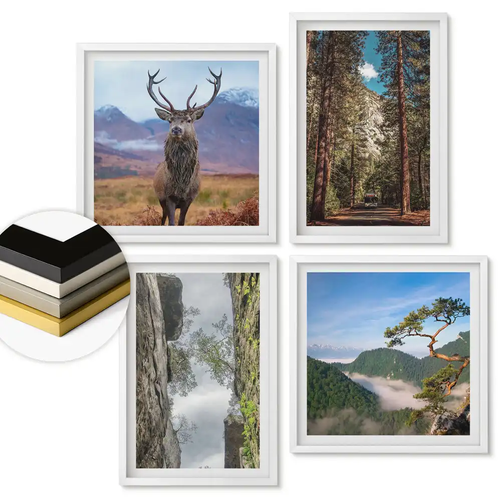 Set 4 tablouri înrămate Natura în patru versiuni