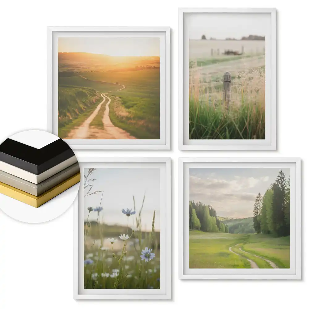 Set de 4 tablouri înrămate Pacea naturii