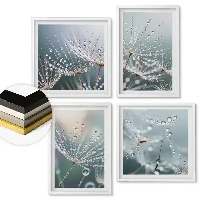 Set 4 tablouri înrămate Picături de rouă pe lăstari delicati