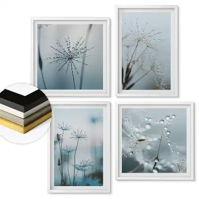 Set 4 tablouri înrămate Picături de rouă pe plante delicate