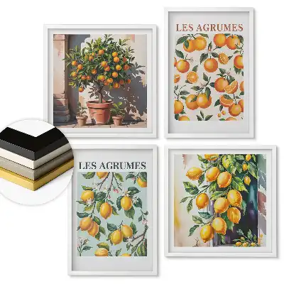 Set de tablouri înrămate cu motive citrice în versiune colorată
