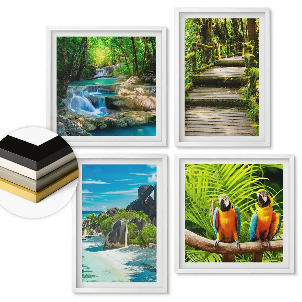 Set 4 tablouri înrămate cu peisaje tropicale și păsări exotice