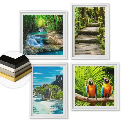 Set 4 tablouri înrămate Peisaje tropicale și păsări exotice