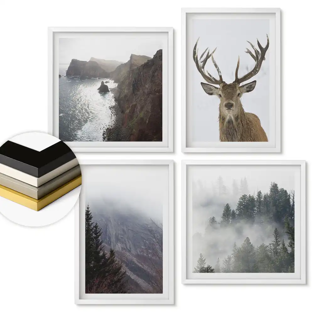 Set 4 tablouri înrămate Frumusețea naturii