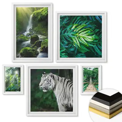 Set de tablouri înrămate Jungla verde și locuitorii ei