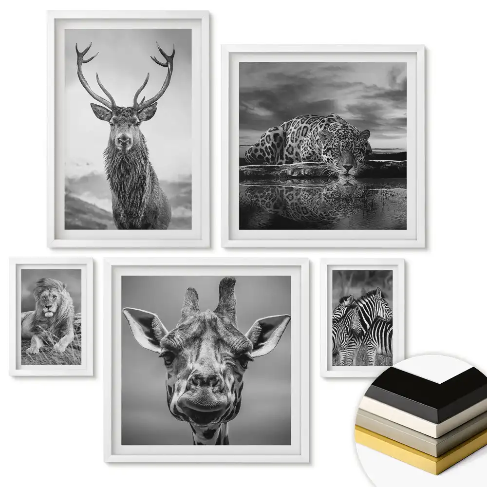 Set 5 tablouri înrămate Fauna sălbatică alb-negru