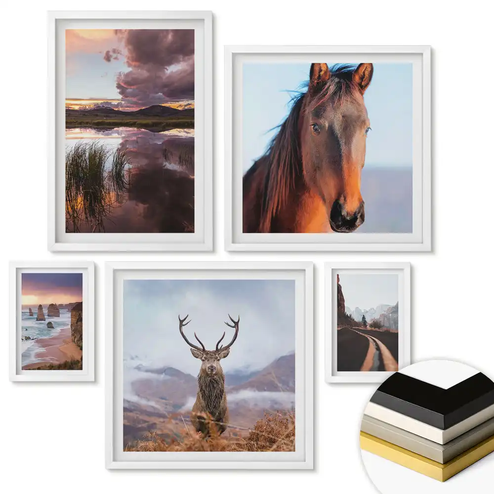 Set 5 tablouri înrămate Natura și animalele în armonie