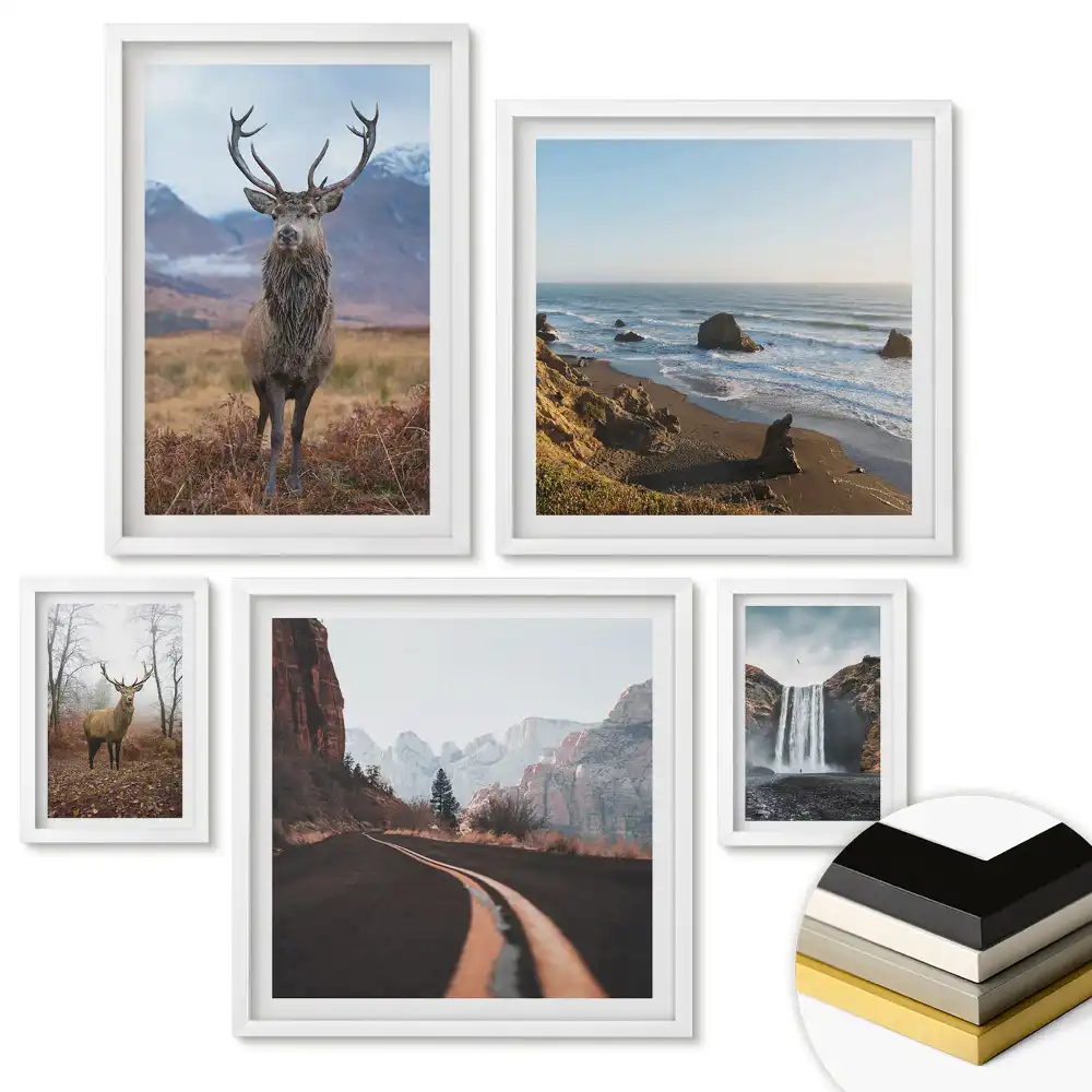 Set de 5 tablouri înrămate Natura în patru versiuni