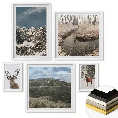 Set tablouri înrămate Natura în diferite anotimpuri