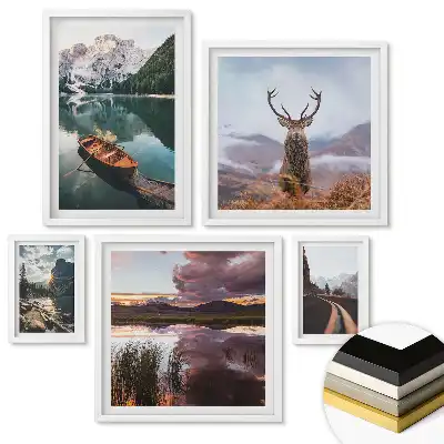 Set 5 tablouri înrămate Natura în patru versiuni
