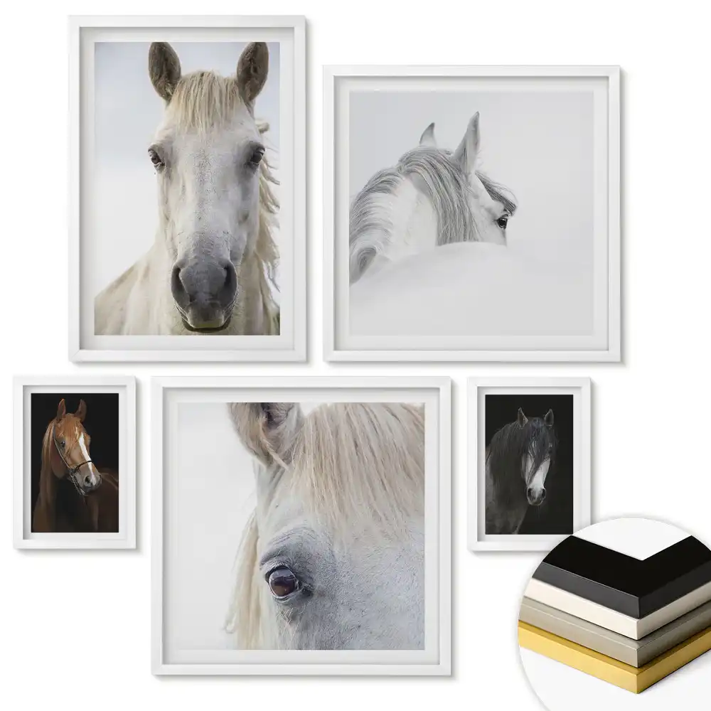 Set de tablouri înrămate cu portrete monocrome de cai