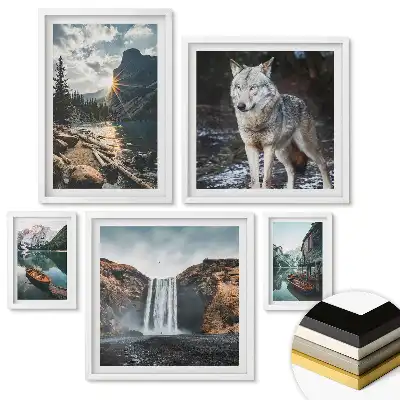 Set 5 tablouri înrămate Natura în patru versiuni
