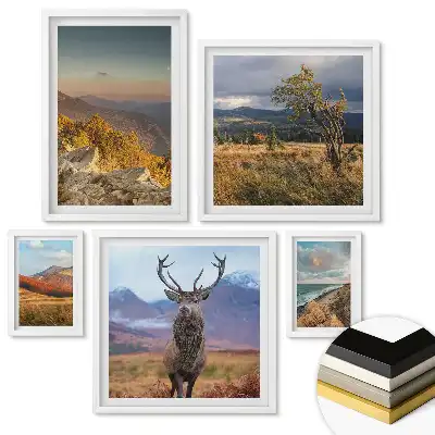 Set 5 tablouri înrămate Frumusețea naturii în patru versiuni