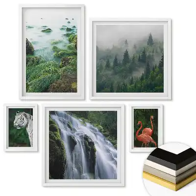 Set 5 tablouri înrămate Natura în diverse nuanțe de frumusețe