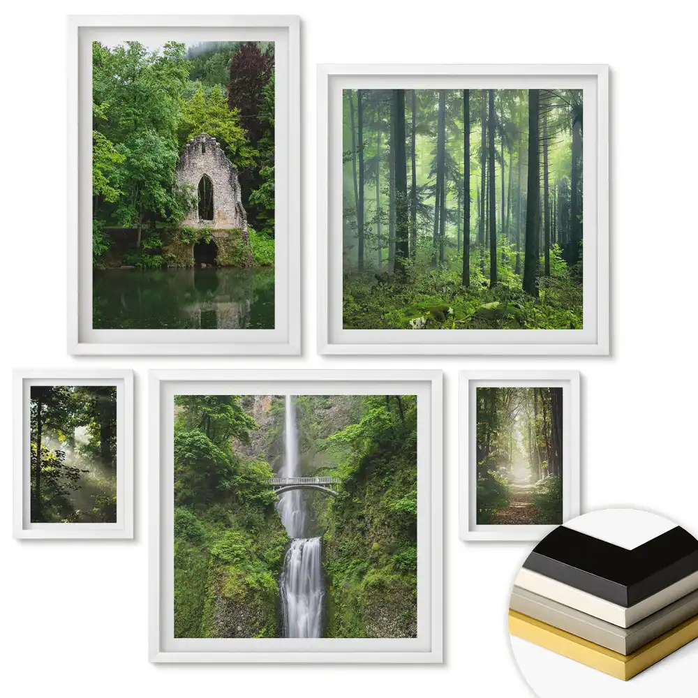Set 5 tablouri înrămate Colțuri verzi ale naturii și cascade