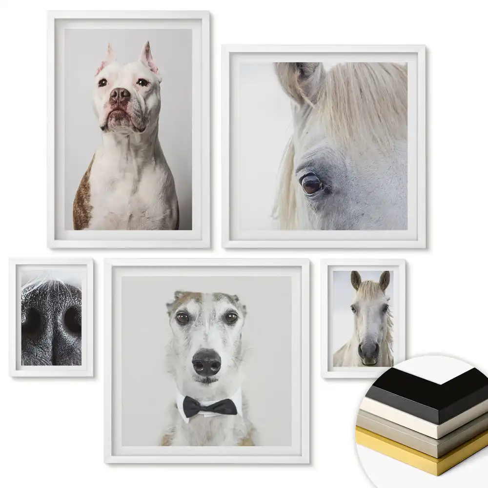 Set de tablouri înrămate Portrete de animale în stiluri variate