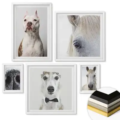 Set tablouri înrămate Portrete de animale în diferite stiluri