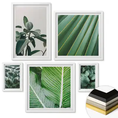 Set 5 tablouri înrămate Armonia verde a naturii în grafică