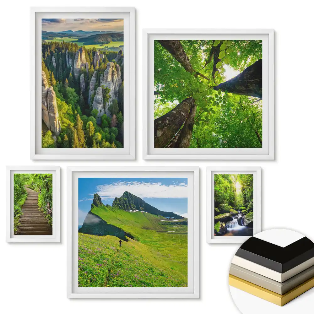 Set 5 tablouri înrămate Peisaje verzi și frumusețe naturală