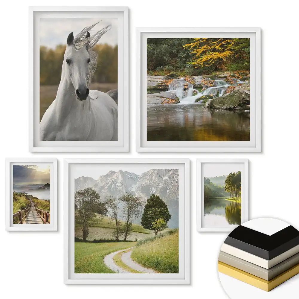 Set 5 tablouri înrămate Natura în patru versiuni.