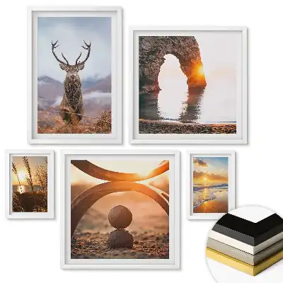 Set 5 tablouri înrămate cu tematică Natura sălbatică