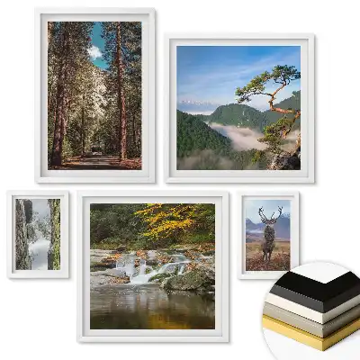 Set 5 tablouri înrămate Natura în patru versiuni