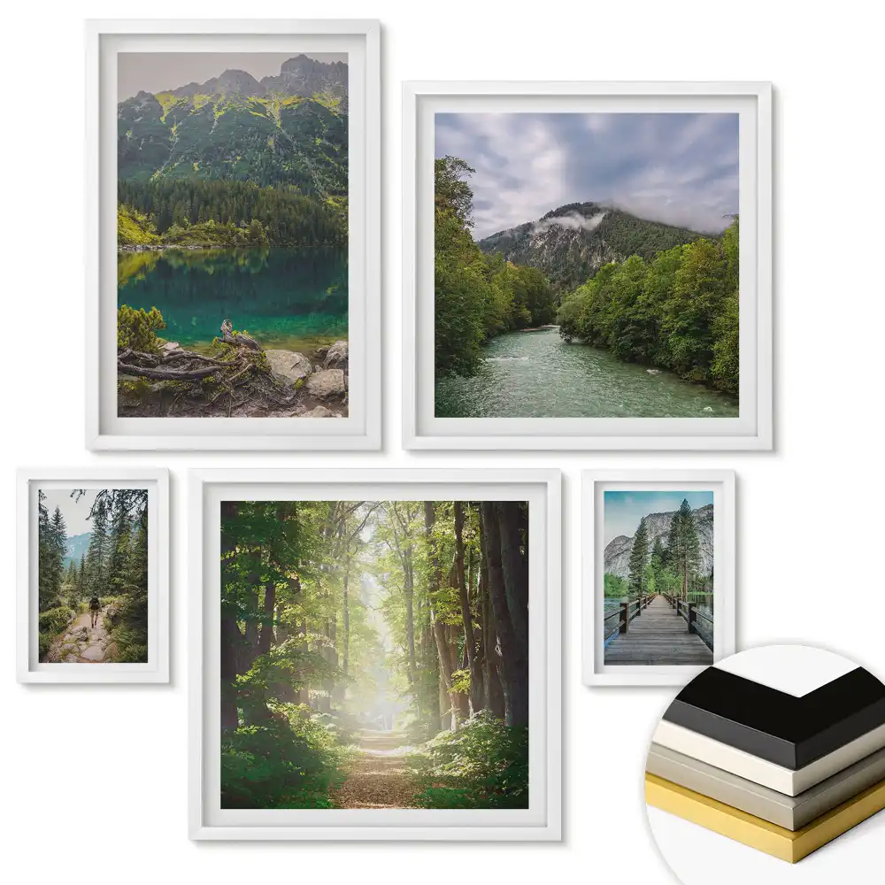 Set tablouri înrămate Natura în patru versiuni