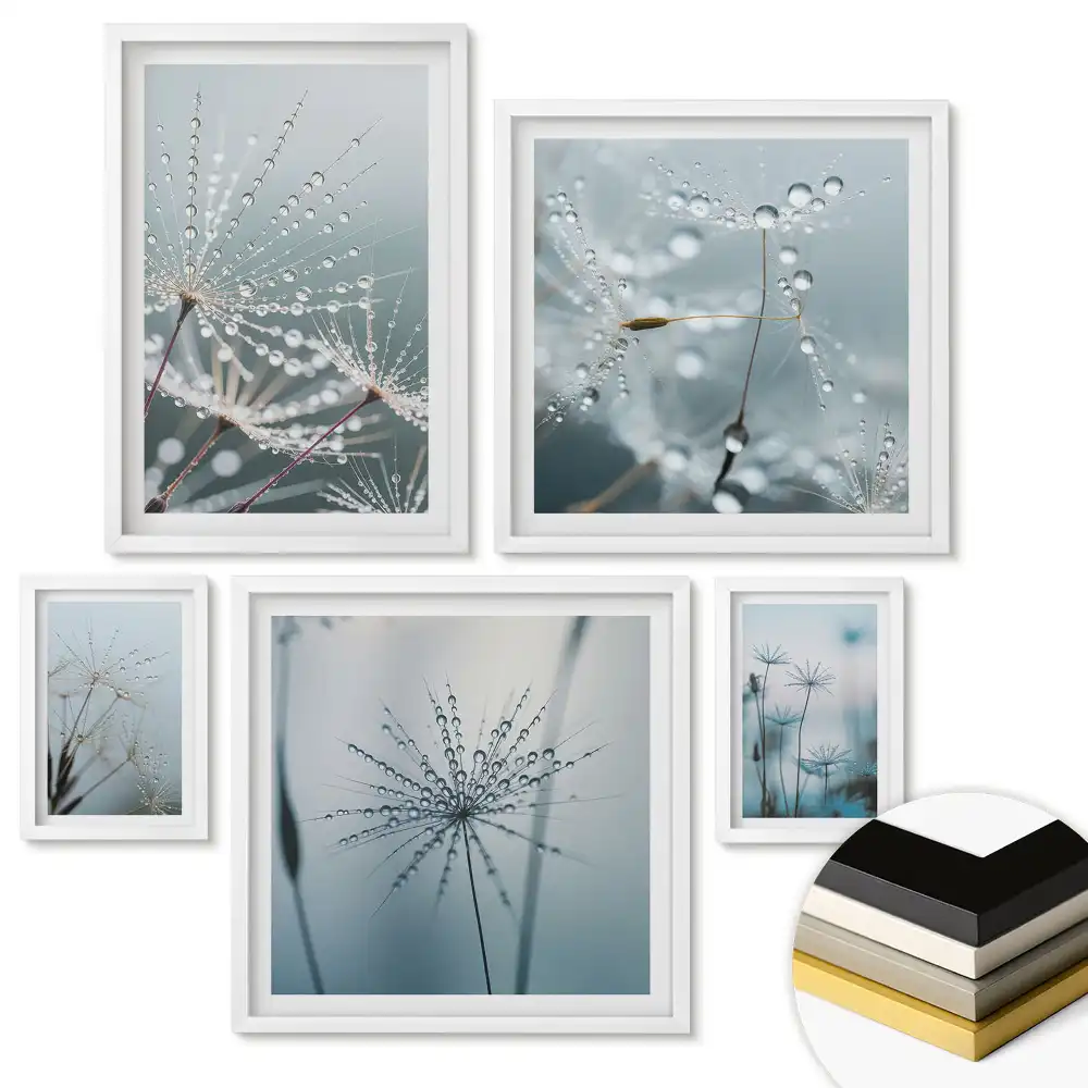 Set de 5 tablouri înrămate Picături de rouă pe flori delicate