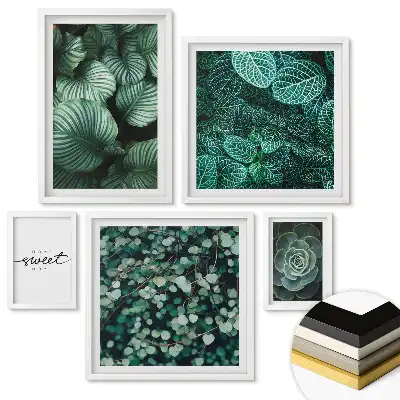 Set 5 tablouri înrămate Armonia naturii într-un stil minimalist