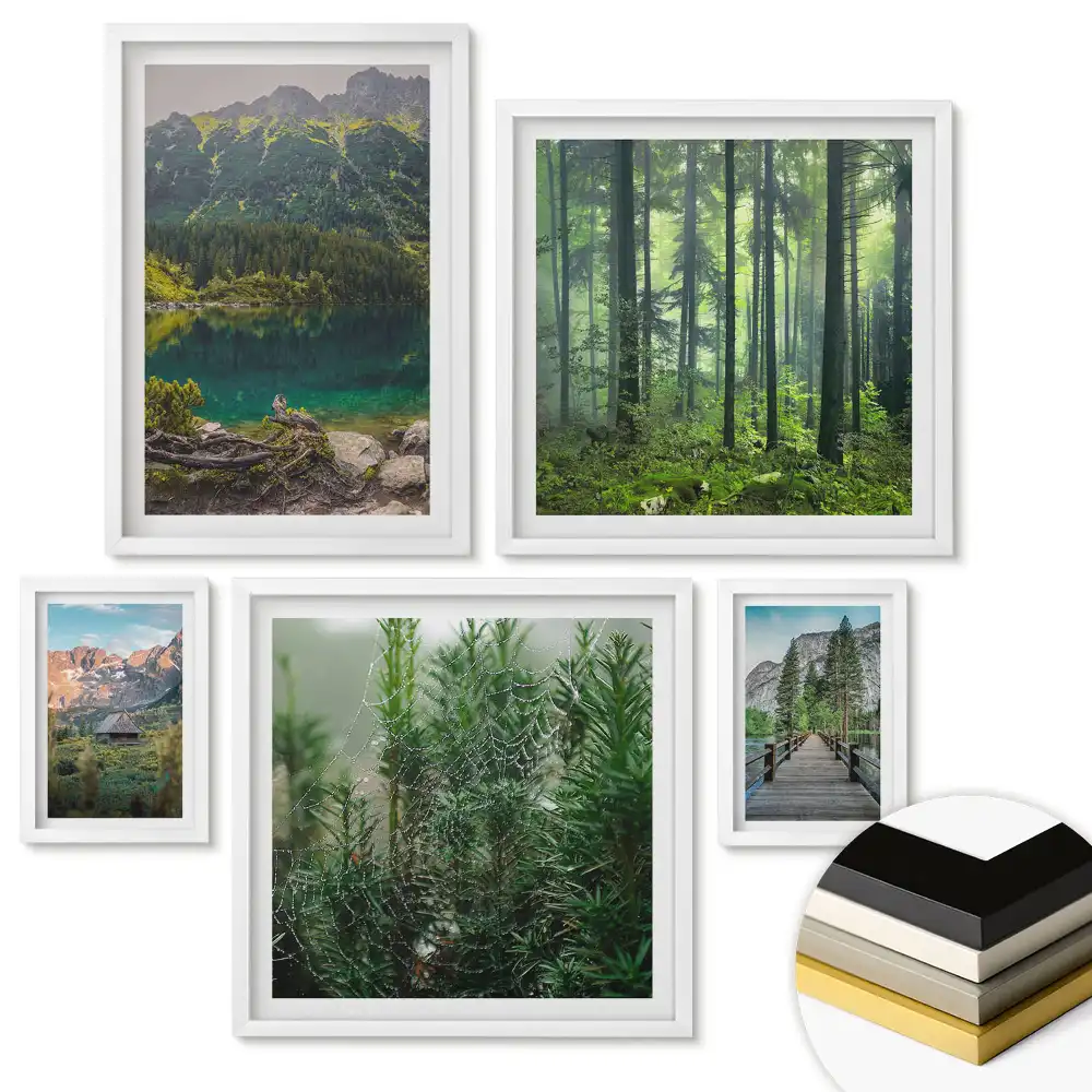 Set de tablouri înrămate cu compoziții abstracte și motive vegetale